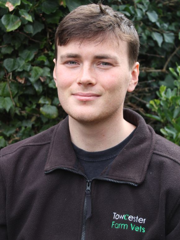 Abel Rogerson BVM BVS MRCVS