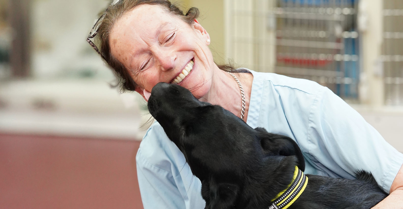 A smiling vet with a black dog nuzzling their face