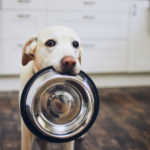 Helen Pope has this advice on how to feed your dog