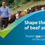 Register with AHDB to help shape the future of beef and lamb