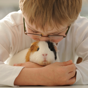 Why choose rabbits, hamsters, or other small furry pets for your child