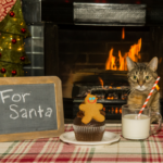 Cat and dog owners, have you seen our Christmas list of pet poisons?