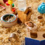Love it or List it on eBay? Towcester Vets Has Advice for Small Pet Housing