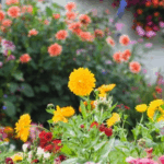 Which Summer Plants are Safe for Dogs, Cats and Rabbits?