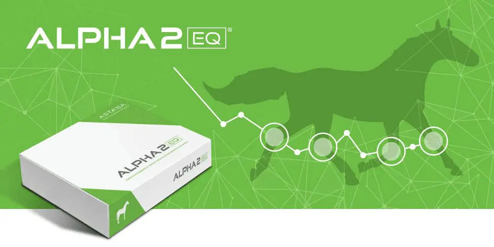 A revolutionary treatment in Equine Osteoarthritis