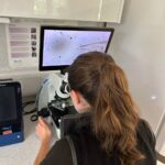 Don’t guess…test! Worm Egg Counts