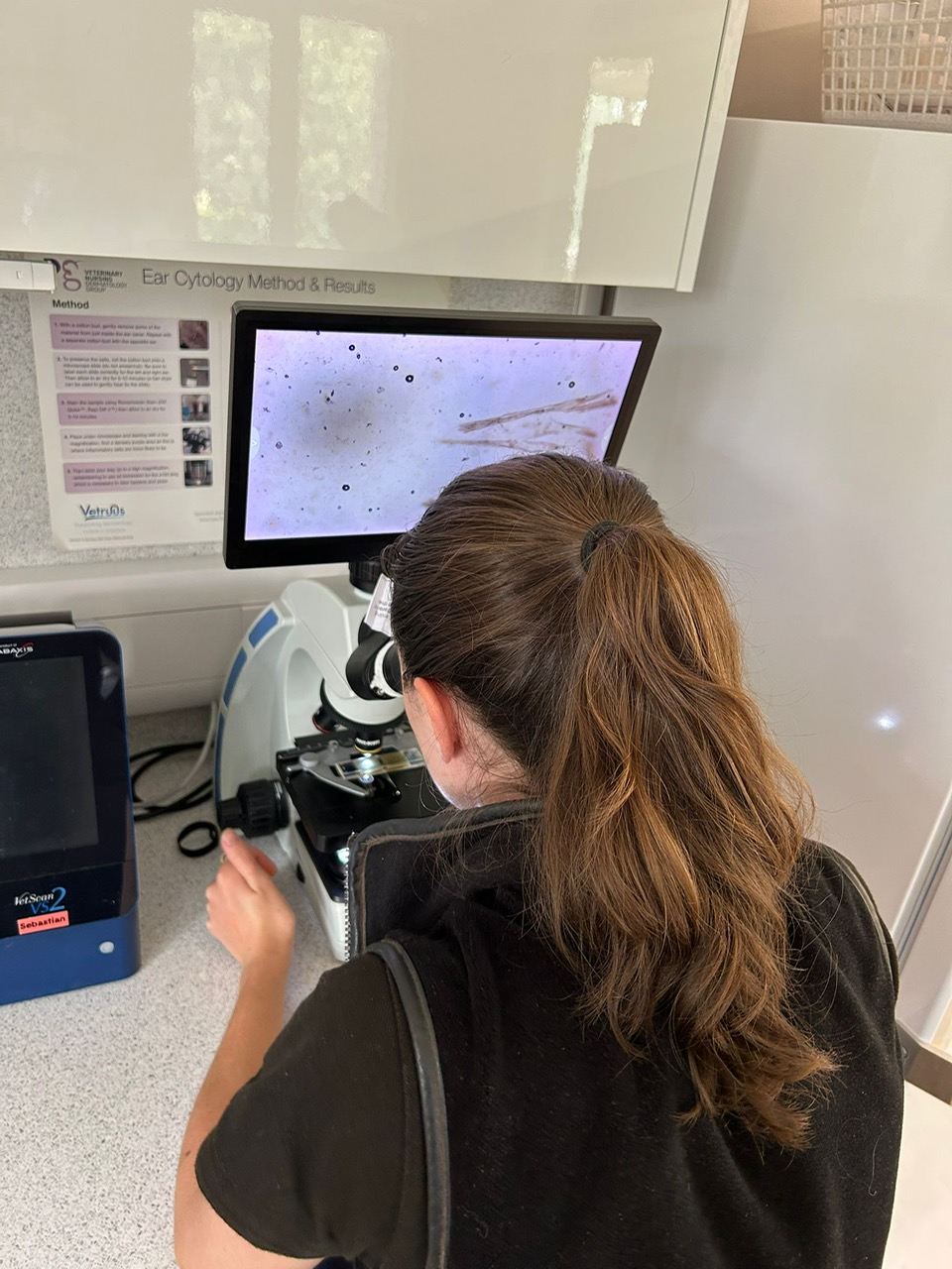 Don’t guess…test! Worm Egg Counts