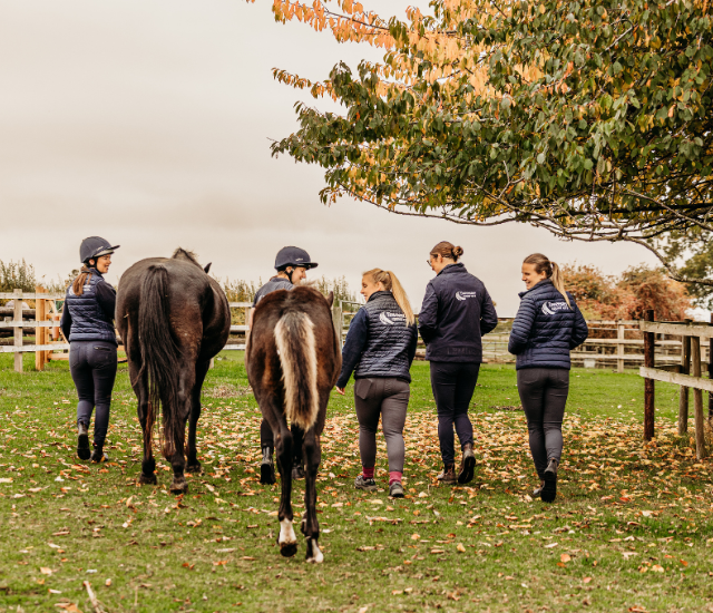 Get to know your vet