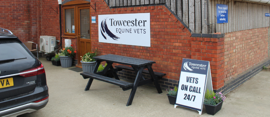 Towcester Equine Vets at Onley