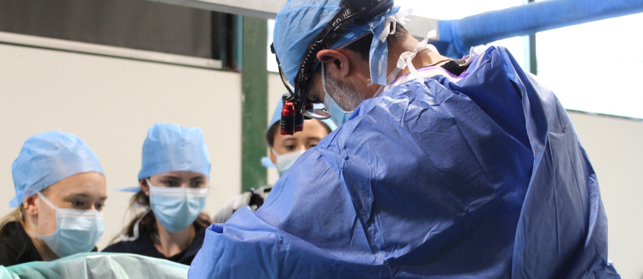 Work Experience at Towcester Vets