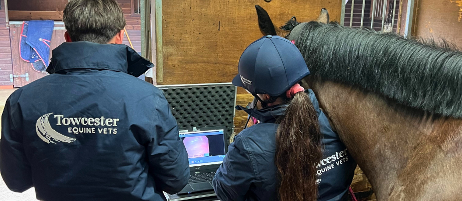 Examinations at your yard