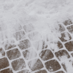 Winter Walk Preparation for Senior Dogs in Towcester