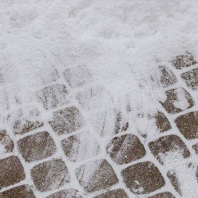 Winter Walk Preparation for Senior Dogs in Towcester