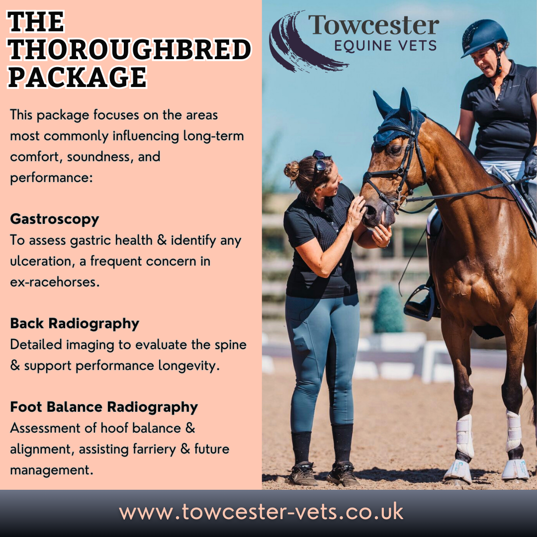 The Thoroughbred Package