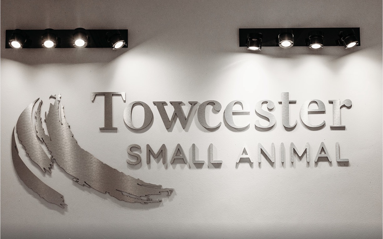 About Towcester Small Animal Vets