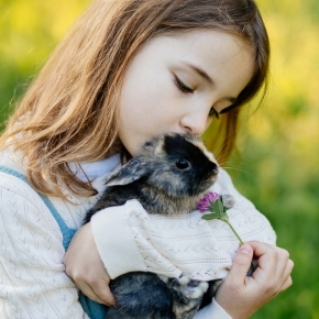 Towcester Vets’ Kid-Friendly Guide to Small Furry Pet Ownership