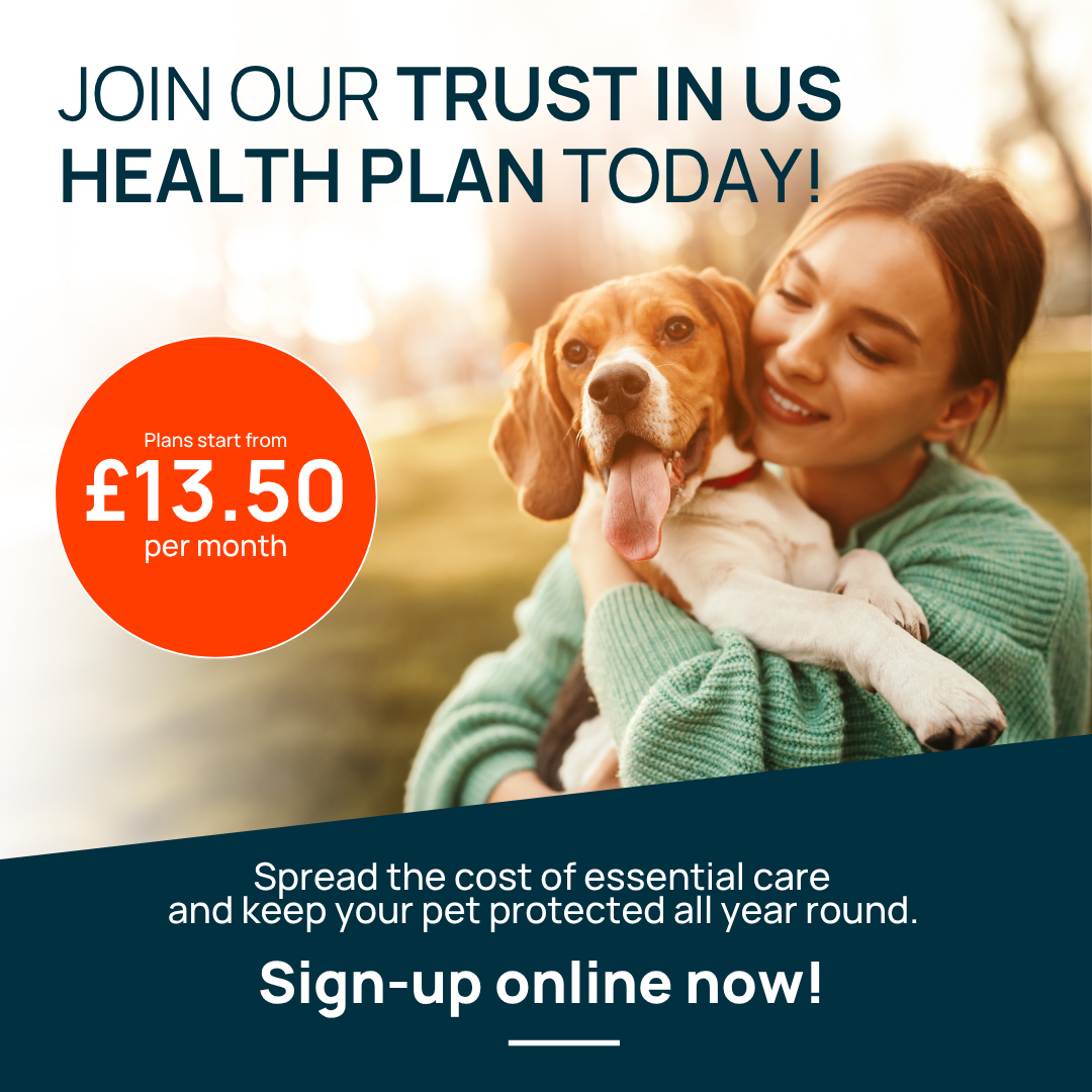 New for August 2026! Towcester Vets Pet Health Plans