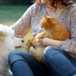 Summer Pet Care Answers from our Vets at Towcester Vets